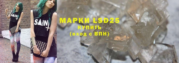 ПСИЛОЦИБИНОВЫЕ ГРИБЫ Медвежьегорск