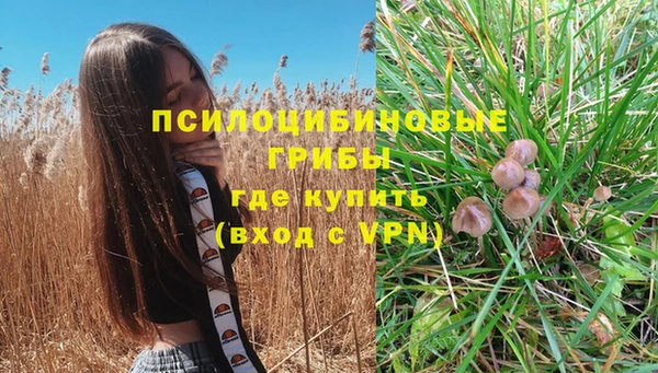 ПСИЛОЦИБИНОВЫЕ ГРИБЫ Медвежьегорск