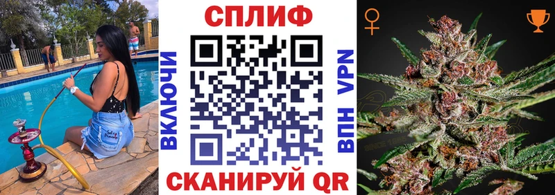 Каннабис конопля  Щёкино 